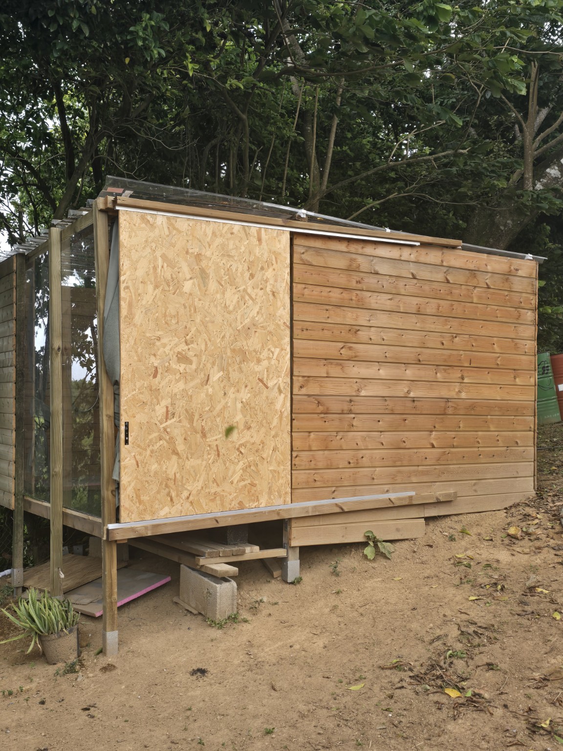 Cabane bois nature