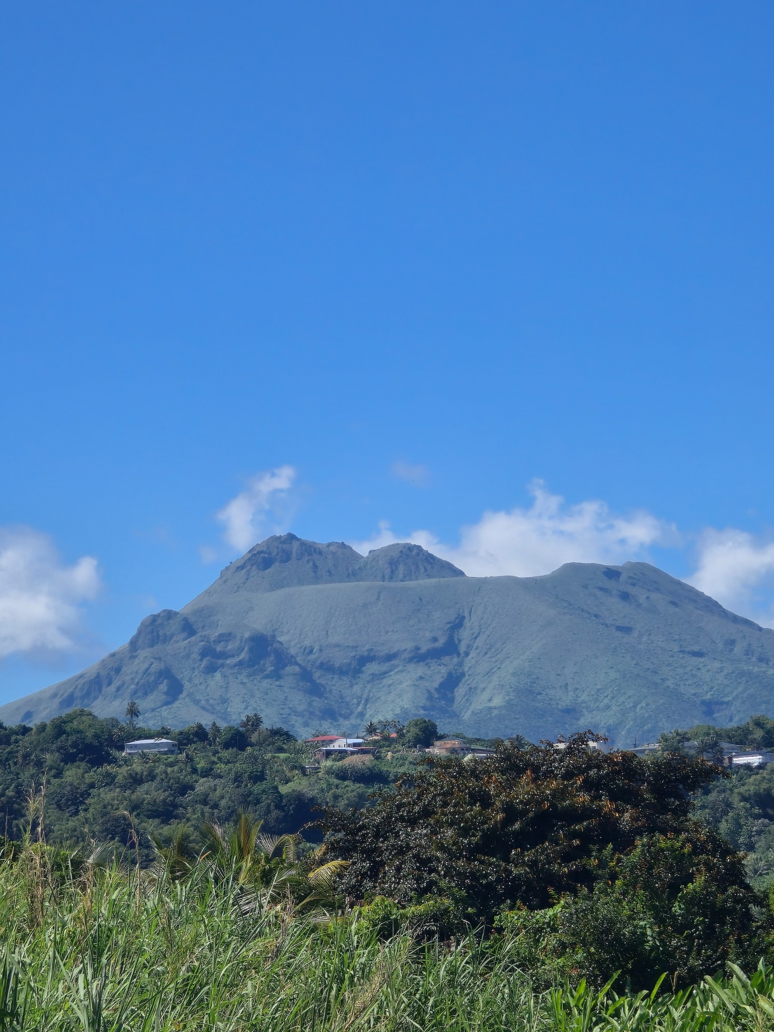 Sortie pedagogique en Martinique